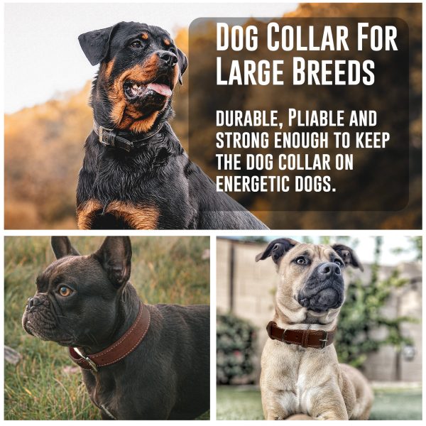 Leather Dog Collar with Double Stitching in Black - Image 4